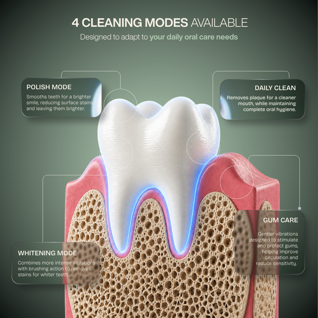 Sonic LED Toothbrush — 2-in-1 Cleaning & Whitening